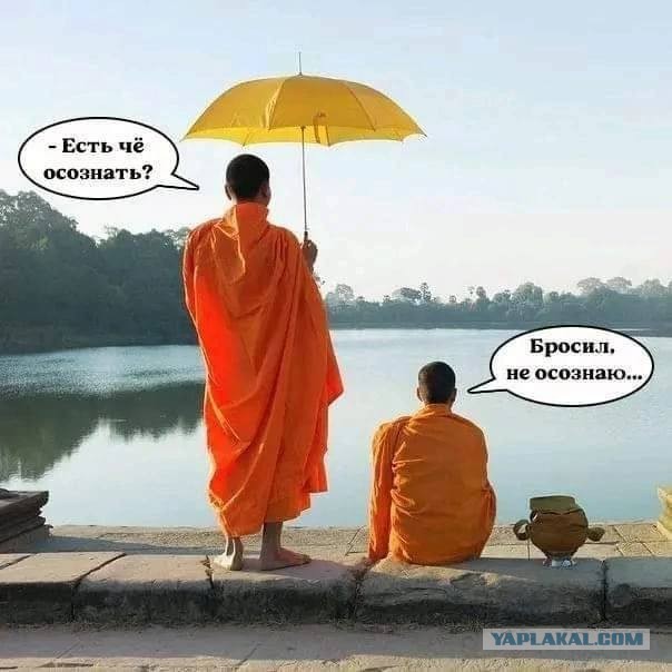 Веселые картинки _)