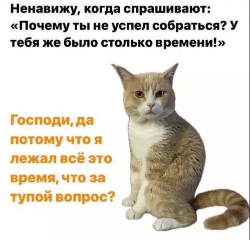 Картинки для деградации 122 (разной степени свежести)
