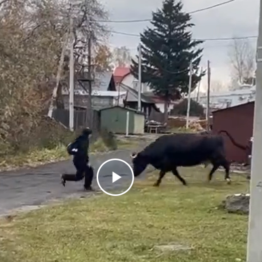 Если вам вдруг стало скучно жить в деревне