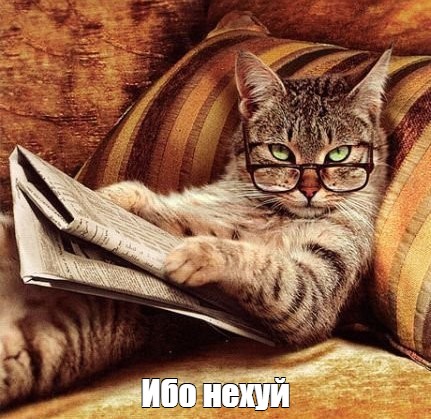 Вопрос гражданам