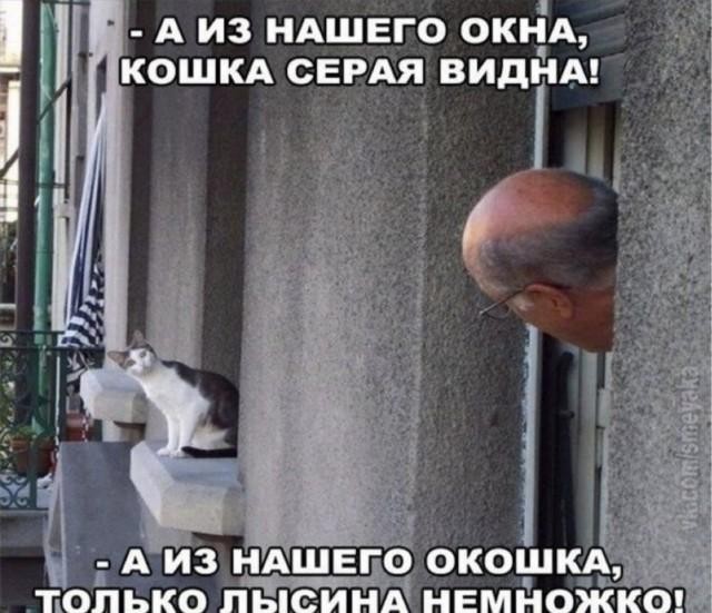 Картиночки, баянчики 18 февраля