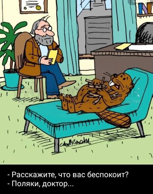 Что за