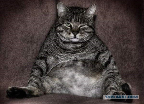 "Под Стеклом"