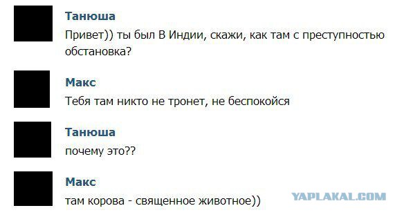 Смешные комментарии из социальных сетей