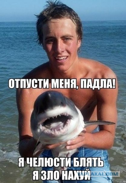 Многие не верят