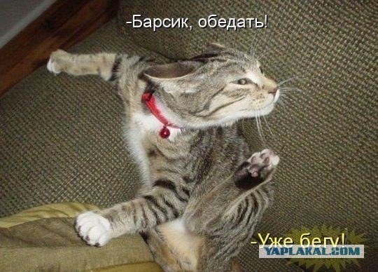 Вот как-то добрым позитивом повеяло
