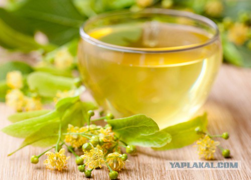 Пищевые привычки. Все из детства