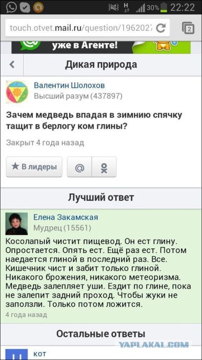 Смешные комментарии из социальных сетей