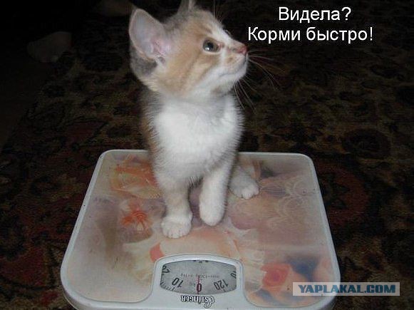 Поднимаем настроение