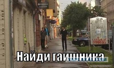 Никогда не играйте в прятки с этими животными