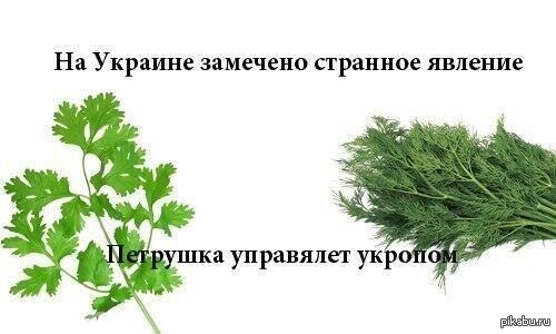 Страна, где Президент - Укроп.