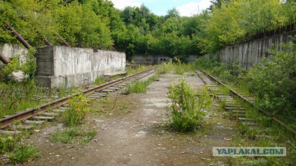 21 фотография, где природа победила цивилизацию