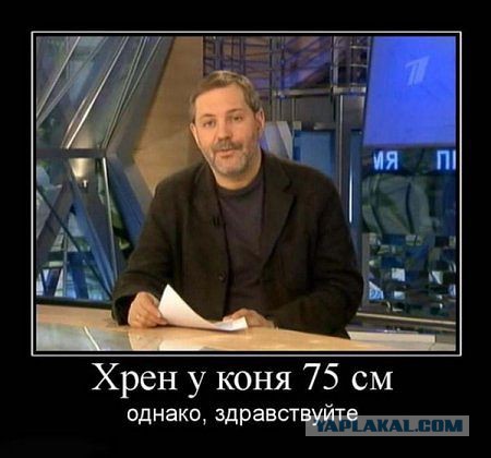 Веселые картинки