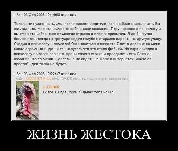 Утка... она следит за тобой!