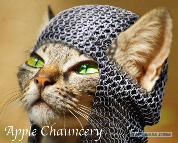 Которыцарь.