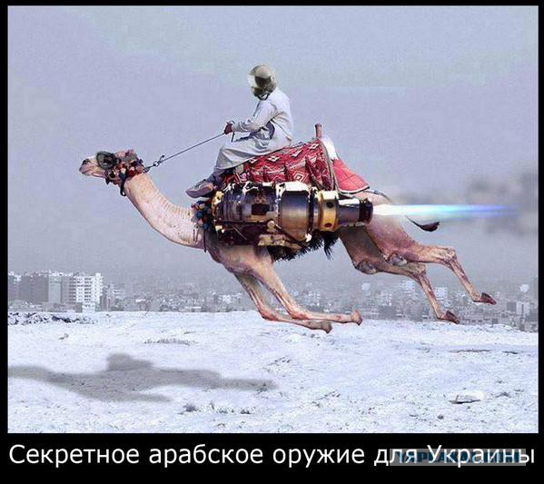 Бывает ли жареный верблюд на бедуинской свадьбе?