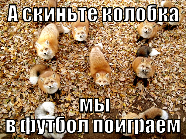 9 самых нелепых эпик-фэйлов зоозащитников
