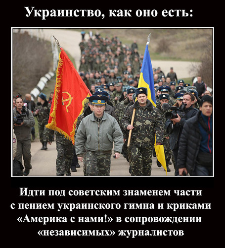 США отказались идти в бой за Украину