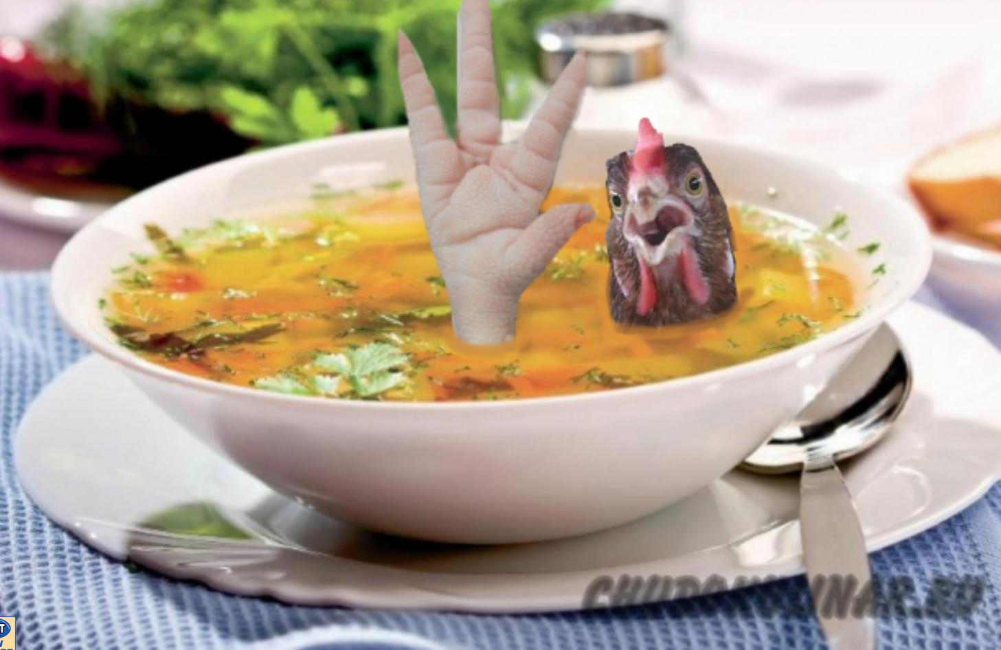 Суп из лапок