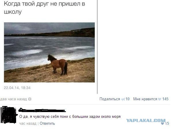 Смешные комментарии из социальных сетей