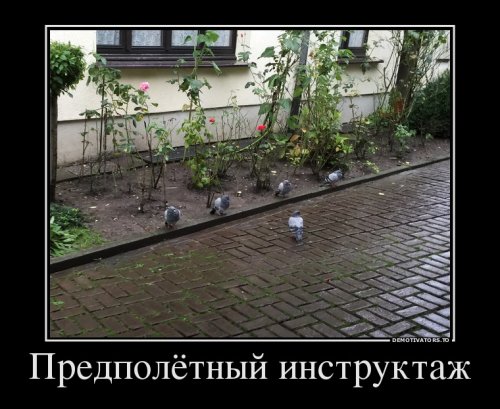 Немного демотиваторов