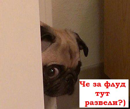 Общество любительниц мужских рук
