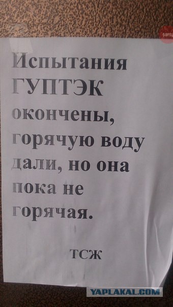 Приколы из сети