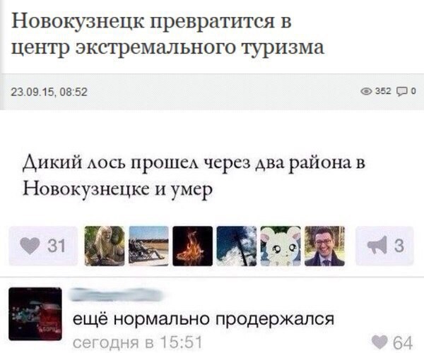 Смешные комментарии из социальных сетей