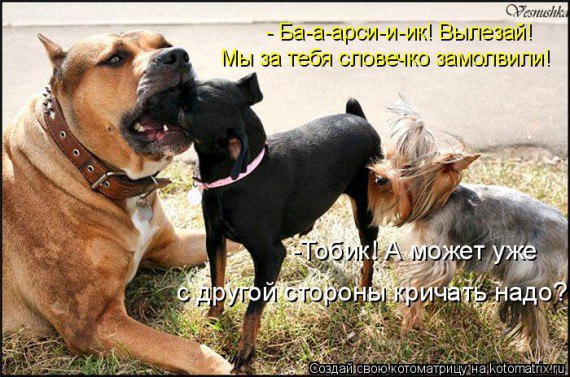 Подборка Картинок из сети
