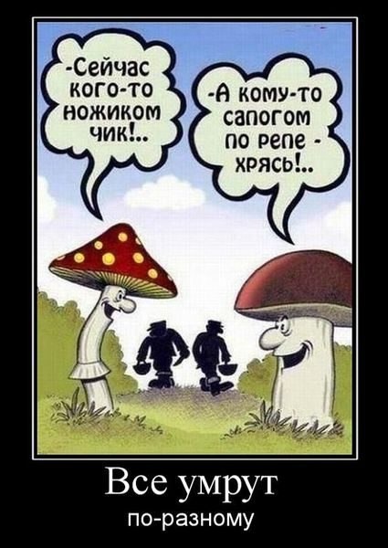 Картинки, СМСки из вашего тырнета
