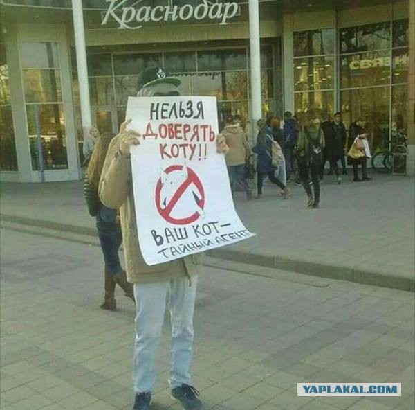 В NASA провели эксперимент "Что ждет нас внутри черной дыры?"