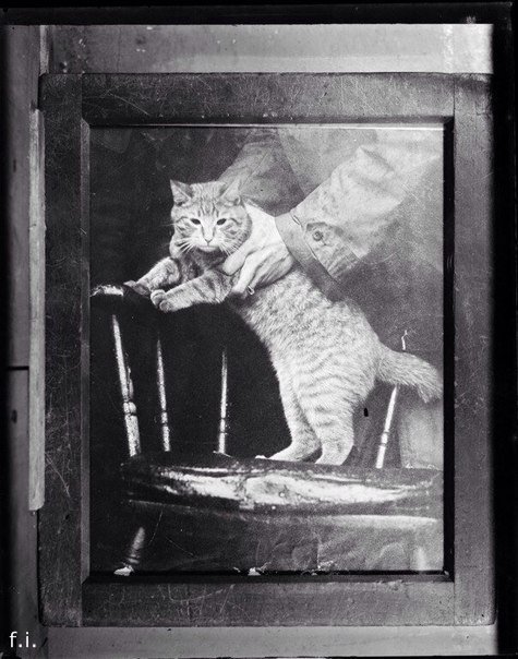 Начерпано. Короткие истории