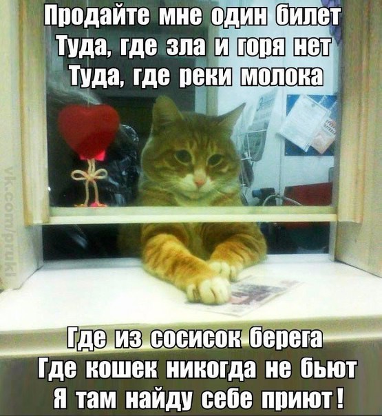 Интересные и веселые картинки