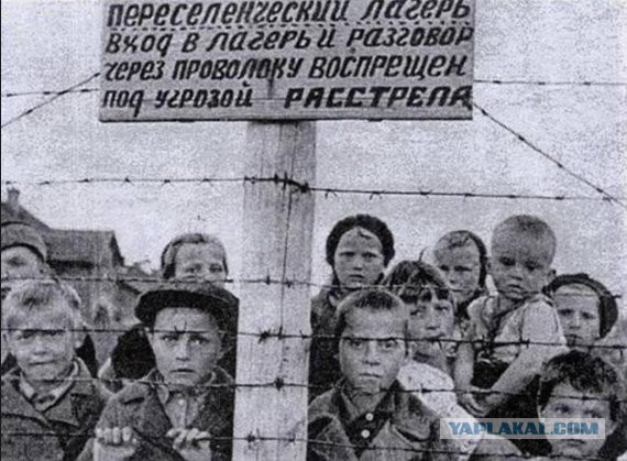 Российская полиция закупает нелетальные акустические пушки