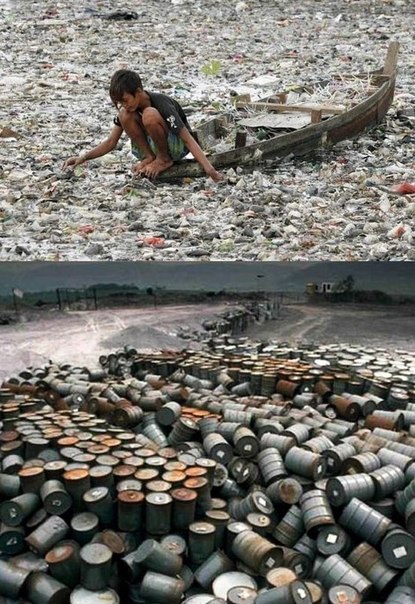 Интересные и веселые картинки