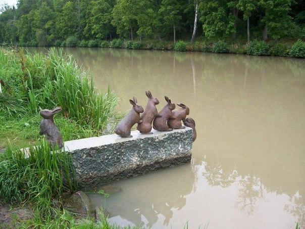 Подборка интересных и веселых картинок