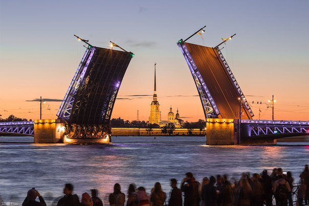 Интересные и веселые картинки