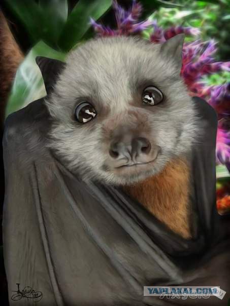 Интересные и веселые картинки