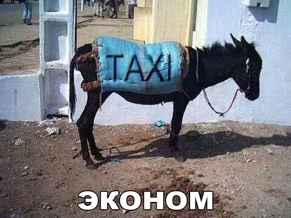 Упоротая пятиминутка