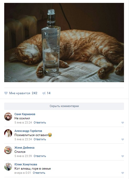 Ужасы и приколы из соцсетей 18+