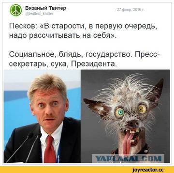 Песков подтвердил готовность россиян «есть снег» в условиях санкций