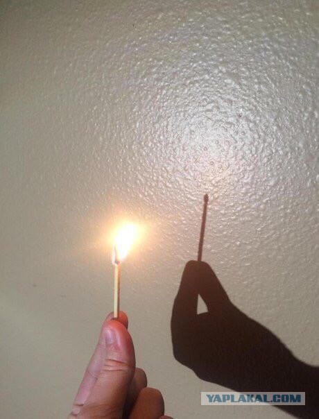 Подборка интересных и веселых картинок