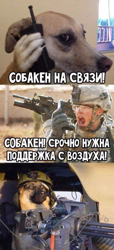 Подборка интересных и веселых картинок