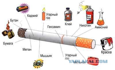 А давайте прекратим табачный геноцид?