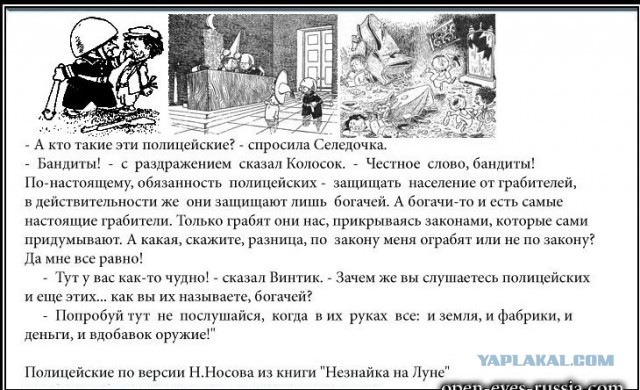 Депутат Госдумы просит проверить "странные" обыски у автора "Немагии"