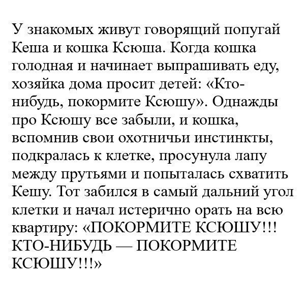 Просто юмор 21