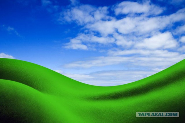 100 тысяч долларов против 45 долларов: разница в гонорарах авторов обоев Windows XP