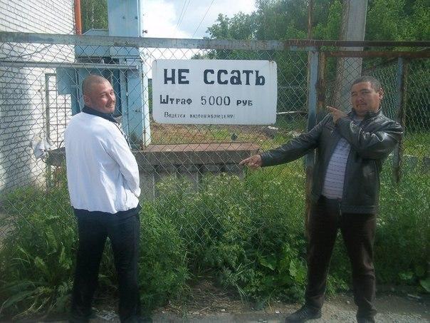 Скотсети и прочие интернеты 21.05.18
