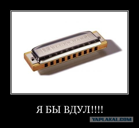 Прическа... Так себе