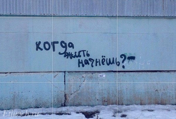 «Бродячие» философы: 17 глубокомысленных заметок в транспорте и на улицах